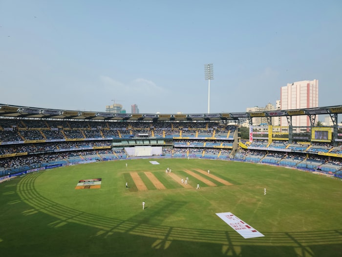 Cricket